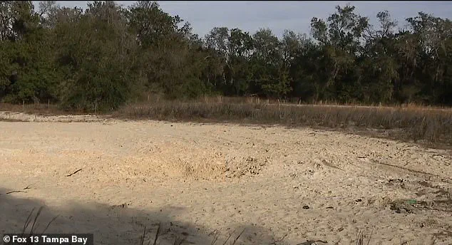 Tragic Collapse at Florida Park Claims Lives of Two Teenagers