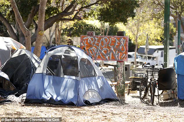 Rare Tropical Disease Sparks Alarms, Legal Battle in Berkeley Homeless Encampments