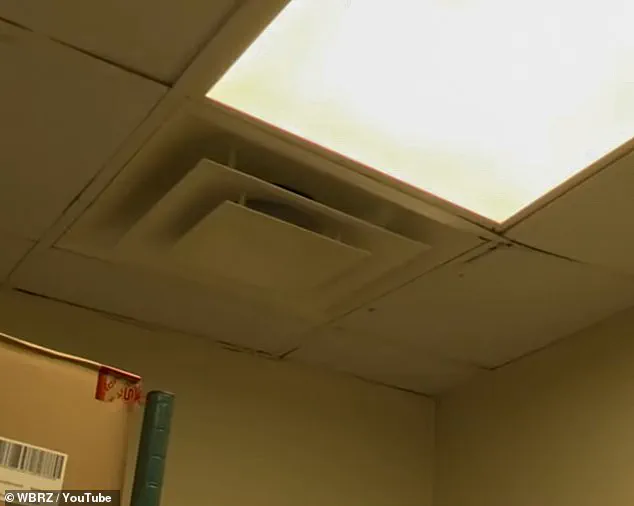 Workers at Louisiana Wendy’s Describe a Health Crisis in the Workplace: 'Black Mold and Flooding Are Daily Realities'