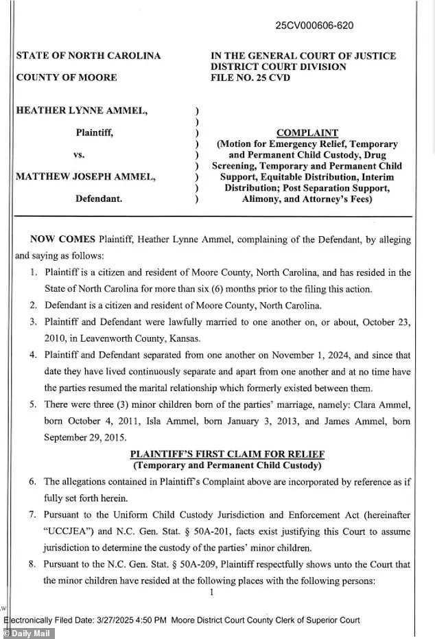The Role of Regulations in Protecting Public Trust: A Case Study of Allegations Against Senator Kyrsten Sinema's Former Bodyguard