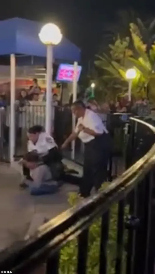 Theme Park Incident Sparks Discussion on Enhancing Guest Management Strategies