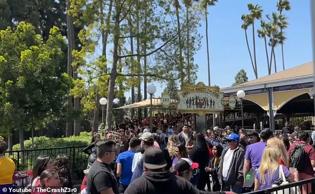 Theme Park Incident Sparks Discussion on Enhancing Guest Management Strategies