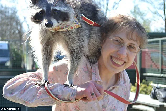 Austrian Cow's Tool Use Sheds Light on Animal Intelligence