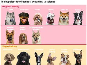 Over half of UK dogs classified as overweight or obese, experts urge immediate action to mitigate public health risks