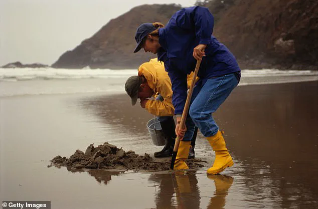 Boston Harbor's Cleanup: A Decades-Long Battle Reaches a Turning Point