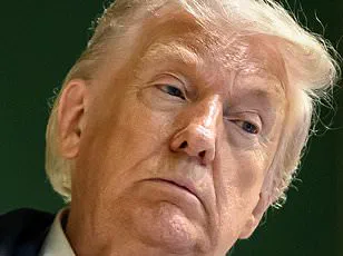 NATO Chief Mark Rutte Confronts Trump Over Failed Greenland Bid at WEF