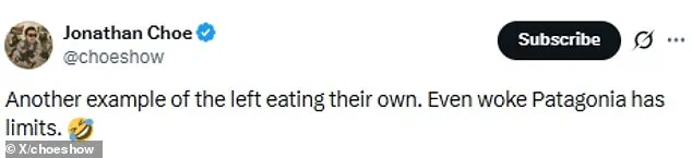 Corporate vs. Creativity: How Legal Battles Over Brand Names Influence Public Regulations