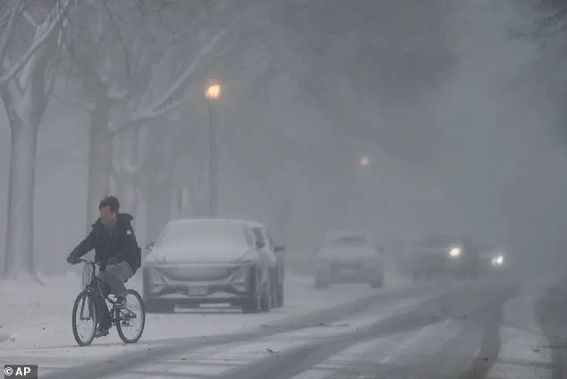 Meteorologists Sound Alarms as 'Worst in a Lifetime' Winter Storm Threatens Prolonged Disruption