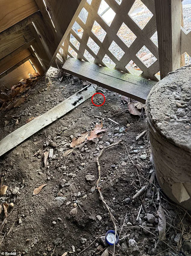Reddit Sleuths Mobilize to Help Desperate Husband Recover Lost Wedding Band Beneath Porch