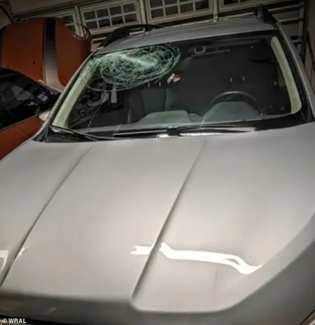 A Mother's Close Call: 'It Was Like a Meteor' – Drivers Urged to Stay Alert on Icy Roads