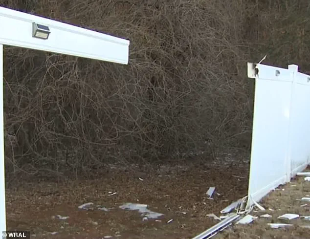 PTSD and Domestic Violence: The Need for Enhanced Mental Health Support and Policy Reforms