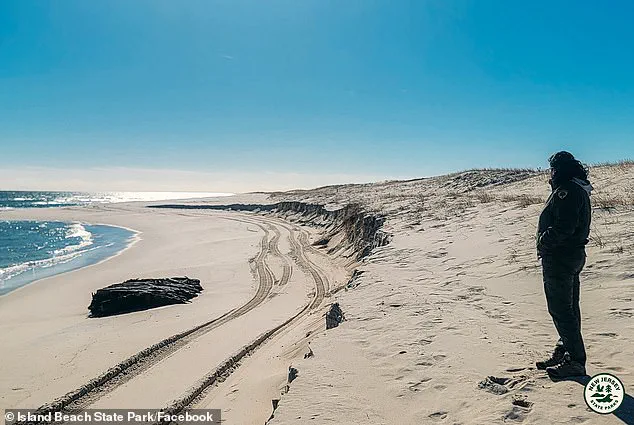 Discovery of 19th-Century Shipwreck 'Lawrence N. McKenzie' Unearths Maritime History on New Jersey Beach