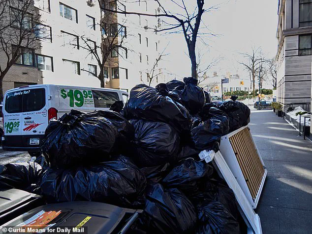 New York's Filth and Frozen Streets: Sanitation Crisis Under Fire as Mayor's Mansion Stands Unscathed