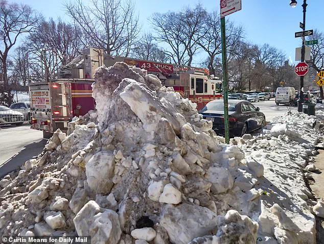 New York's Filth and Frozen Streets: Sanitation Crisis Under Fire as Mayor's Mansion Stands Unscathed