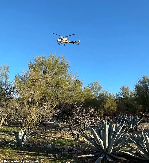 New Evidence Points to Multiple Perpetrators in Nancy Guthrie's Abduction, Expert Says