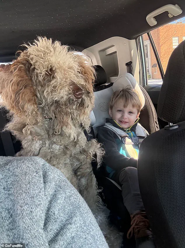 North Carolina Woman's Snowstorm Rescue Triggers Legal Battle