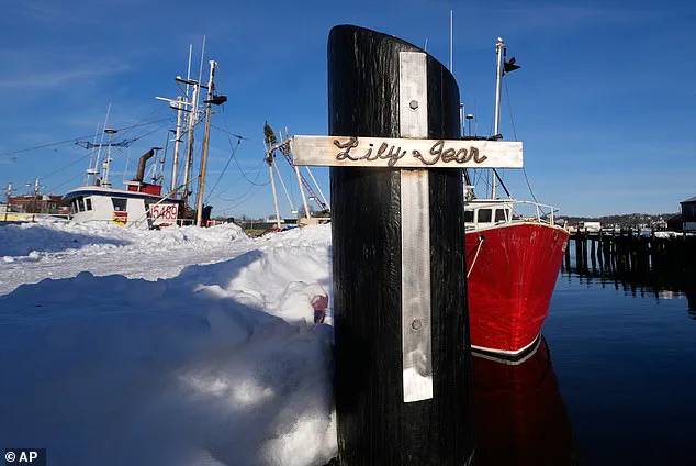 Tragic Sinking of Fishing Boat *Lily Jean* Claims Seven Lives, Coast Guard Confirms Identities