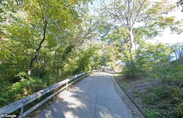 Woman Dies After Slipping on Ice in Maryland Park, Authorities Rule Out Foul Play