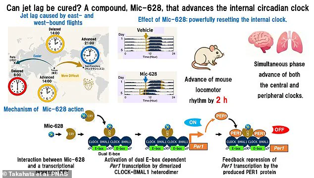 Breakthrough Compound Mic-628 Could Revolutionize Jet Lag Treatment