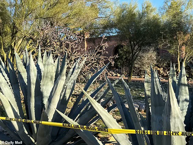 FBI Intensifies Search for Missing Retired Grandma in Tucson