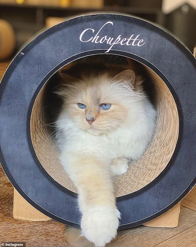 Karl Lagerfeld's €200M Estate: Legal Dispute Over Will, Inheritance Rights, and the Legacy of a Pet