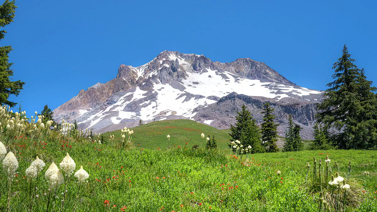 Snow Drought Threatens Western U.S. Ski Resorts and Water Resources