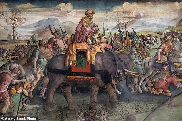 Ancient Bone Discovery in Spain Confirms Hannibal's Use of War Elephants