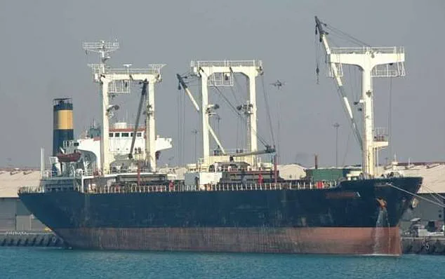 Survival at Sea: The 331-Day Ordeal of a Young Ship Cadet After a Pirate Hijacking