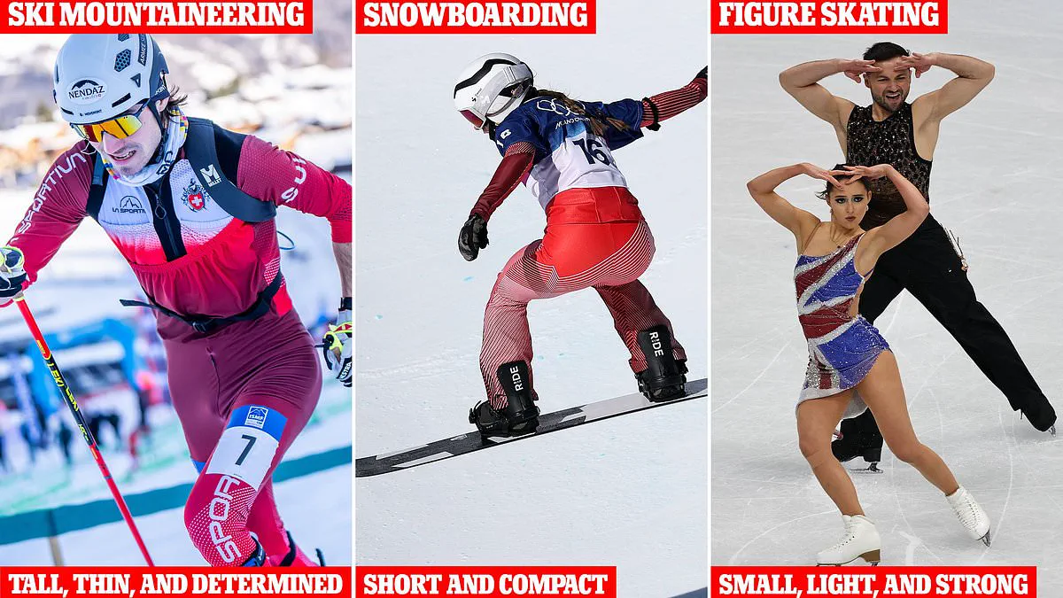 The Hidden Blueprint: How Body Type Determines Success in Winter Sports