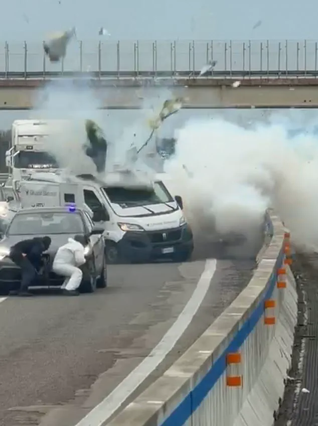 Europe's Crime Crisis: Failed Regulations and Impunity Fueling Violence