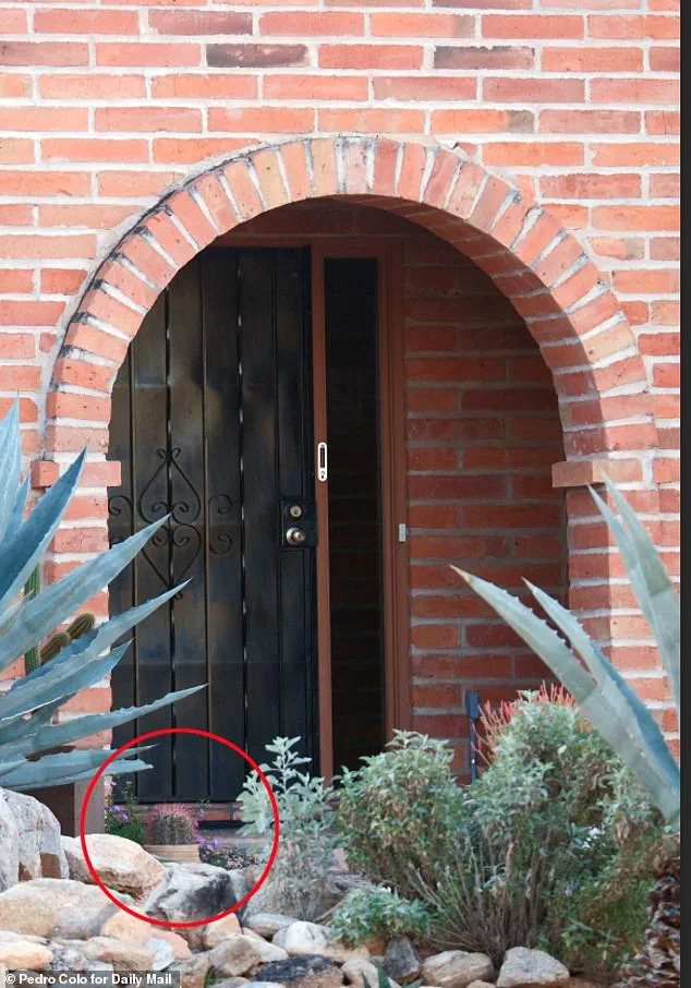 FBI Releases Security Footage in Search for Missing Nancy Guthrie, Mother of NBC Anchor Savannah Guthrie