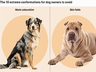 Invasive Flatworms on Pets Spark Ecological Crisis in Europe