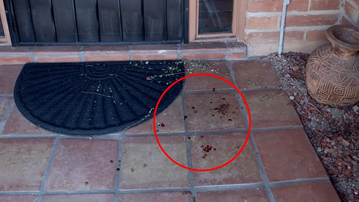 Nancy Guthrie Disappearance: A Perplexing Case with No Answers, Says Brian Entin