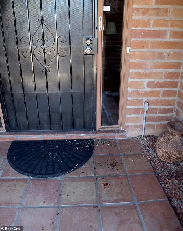 Nancy Guthrie Disappearance: A Perplexing Case with No Answers, Says Brian Entin