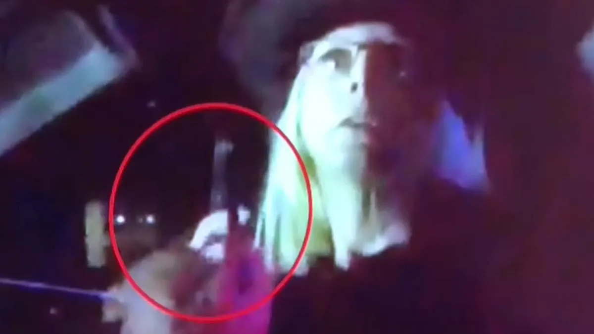 Woman Allegedly Points Gun at Troopers During Nevada Traffic Stop That Turns Violent