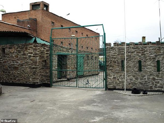 Alleged Human Rights Abuses and Torture in Russian Detention Facilities: Claims Require Verification from NGOs and International Bodies