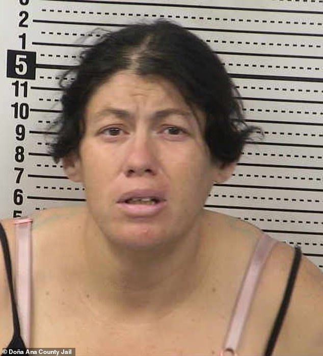 Mother Charged in Newborn's Death After Abandoning Infant in Toxic Portable Toilet