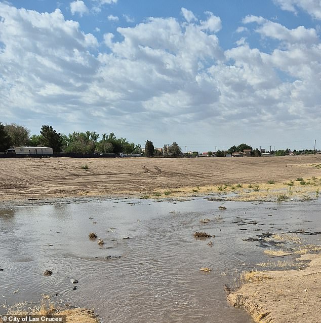 Mother Charged in Newborn's Death After Abandoning Infant in Toxic Portable Toilet