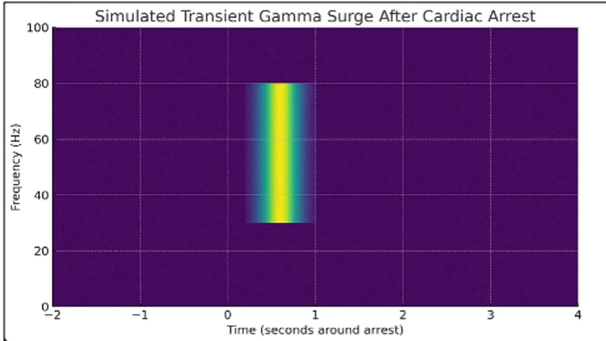 Consciousness Beyond Clinical Death: Study Sparks Debate on Death's Definition