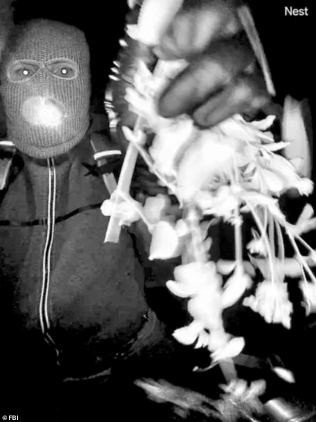 FBI Investigation into Nancy Guthrie Stalls: Pima County Sheriff Sends DNA Samples to Private Florida Lab, Sparking Public Frustration