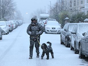 Southern Indian Ocean's 30% Salinity Drop Sparks Fears of Gulf Stream Collapse