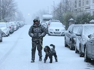 Southern Indian Ocean's 30% Salinity Drop Sparks Fears of Gulf Stream Collapse