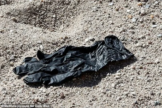 DNA Lab's Race to Solve Vanishing of 84-Year-Old Woman