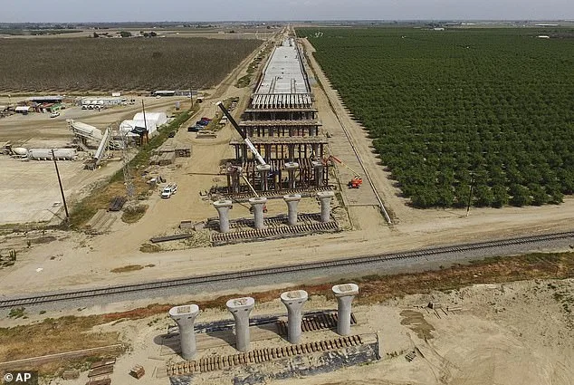 California High-Speed Rail CEO Ian Choudri Arrested in Domestic Disturbance at Home