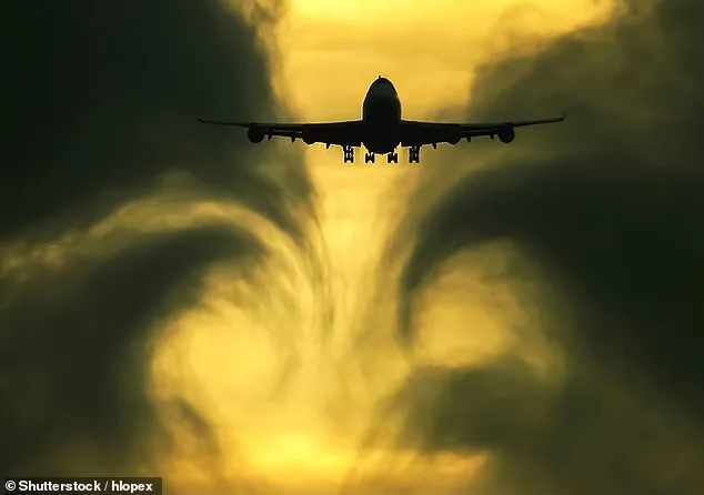 Hurricane-Force Winds Trigger Travel Disruptions and Flight Cancellations Across U.S. States