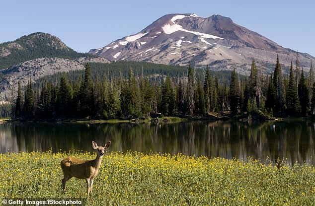 Oregon Petition Gathers Momentum for Historic Hunting and Fishing Ban Ahead of Midterms