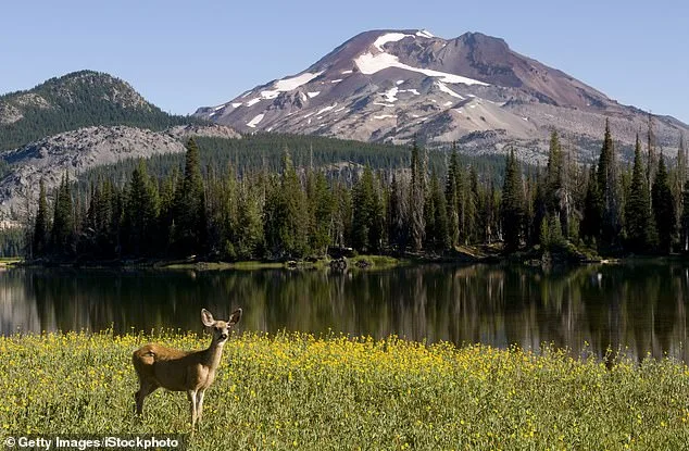 Oregon Petition Gathers Momentum for Historic Hunting and Fishing Ban Ahead of Midterms