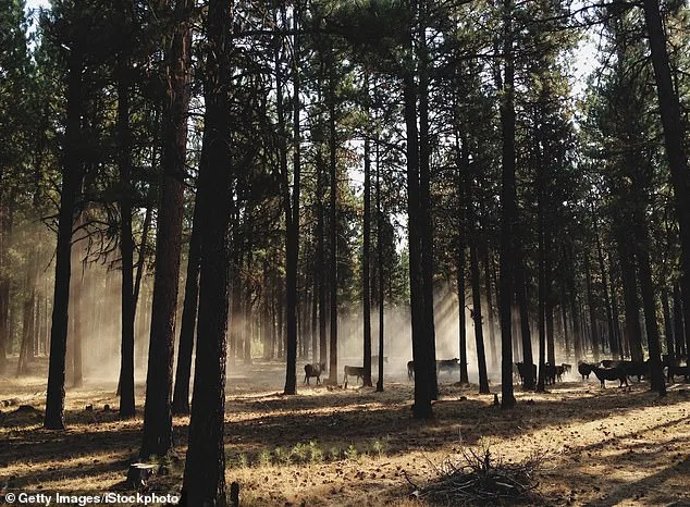 Oregon Petition Gathers Momentum for Historic Hunting and Fishing Ban Ahead of Midterms