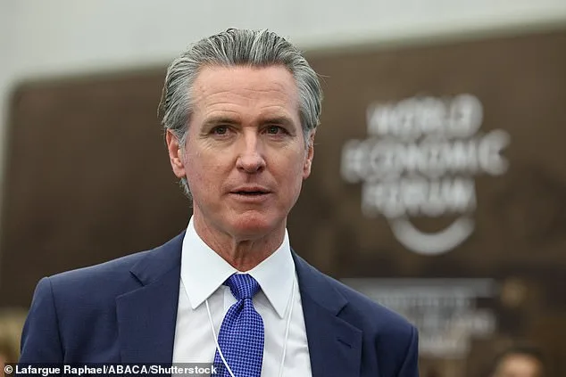 Wall Street Journal Warns Democratic Party's 2028 Prospects Are a 'Lost Cause' Amid Weak Field of Candidates Like Kamala Harris and Gavin Newsom