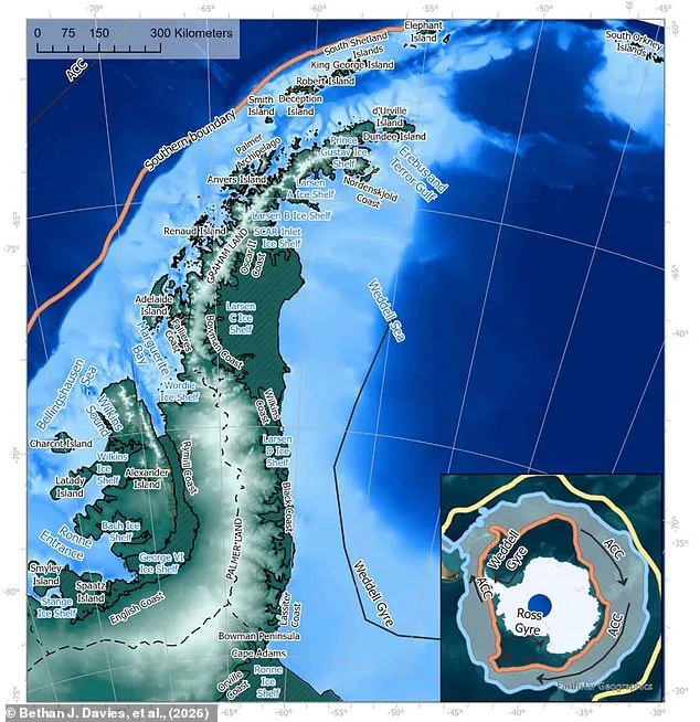 Antarctica's Ice Sheets Under Threat: 20% Sea Ice Decline by 2100 Could Trigger Global Climate Shifts